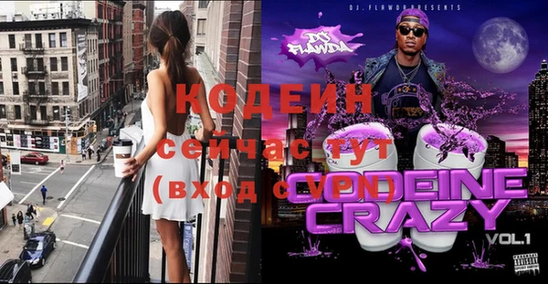 индика Кинешма