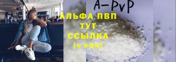 индика Кинешма