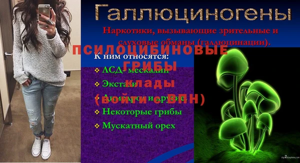 МДПВ Киреевск