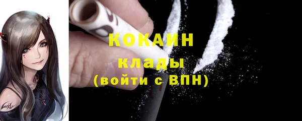 индика Кинешма