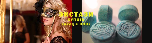 индика Кинешма