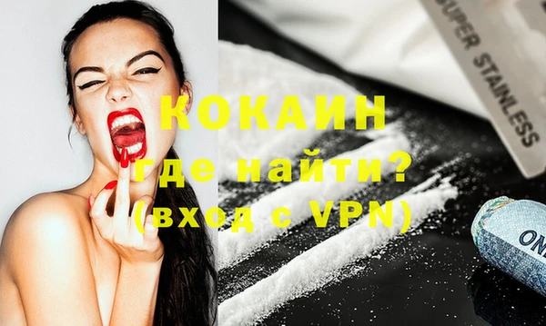 индика Кинешма