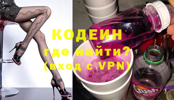 индика Кинешма