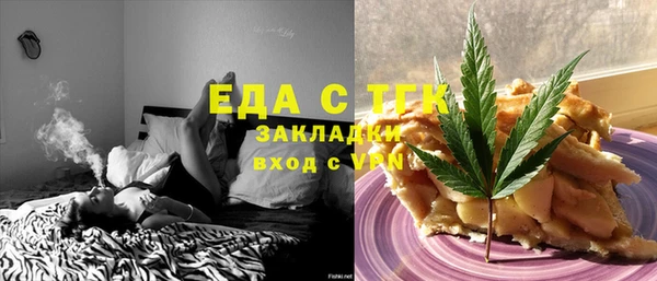 индика Кинешма