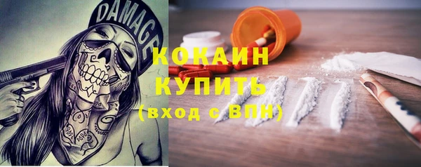 индика Кинешма