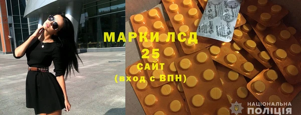 индика Кинешма